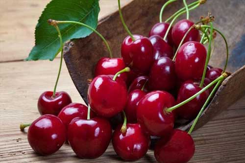 میوه پرخاصیت فصل گرما