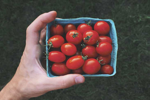 خواص گوجه فرنگی برای مردان بالای ۴۵ سال