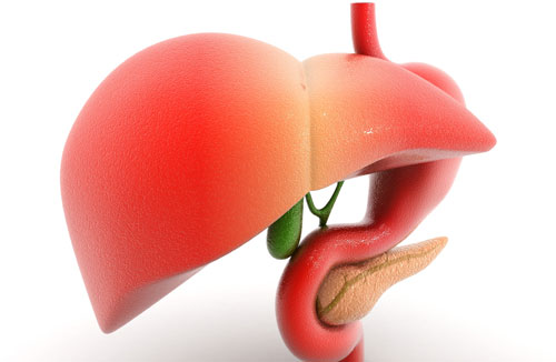 مهمترین علل بروز بیماری کبد چرب چیست ؟