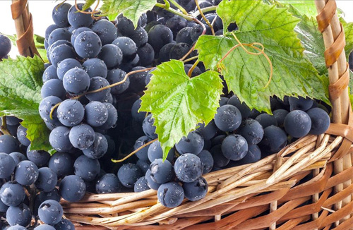 خواص کامل انگور، فواید انگور، خواص دارویی و درمانی انگور