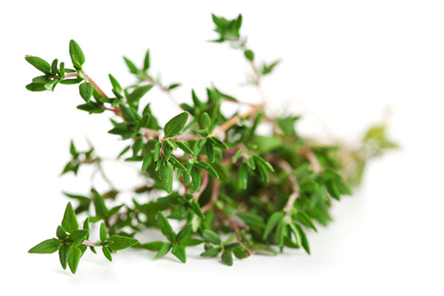 بجای سیر مرزه بخورید!