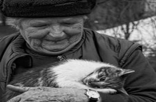 جهان دارد پیر میشود