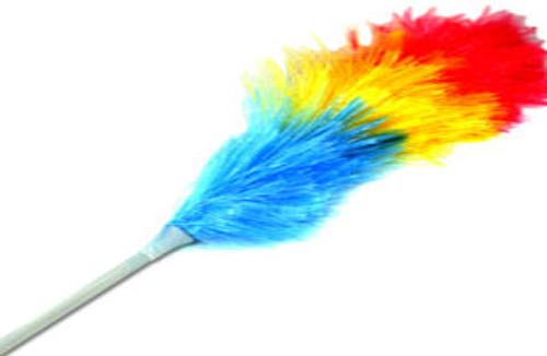 گردگیری جلوی بعضی از بیماری ها را می گیرد