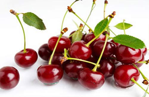 خواص آلبالو