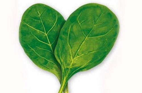 آیا اسفناج منجمد سرطان زاست؟