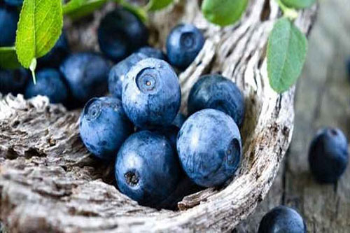 درمان عفونت های معده و روده با این میوه