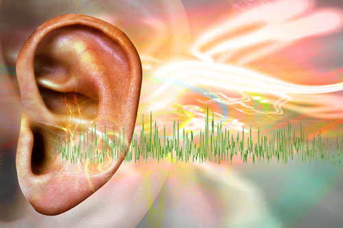 ساختمان گوش انسان به چه صورت است؟