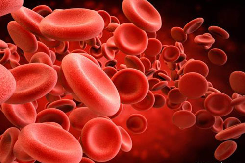 دردی که خبر از لخته شدن خون می دهد
