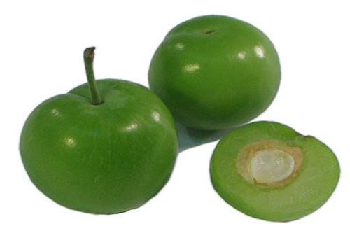 هسته این میوه خوشمزه سیانور دارد