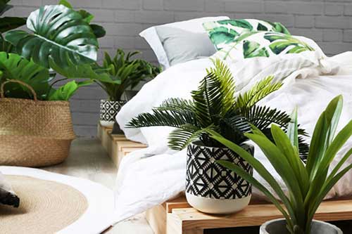 اتاق‌تان را پر از گل و گیاه نکنید